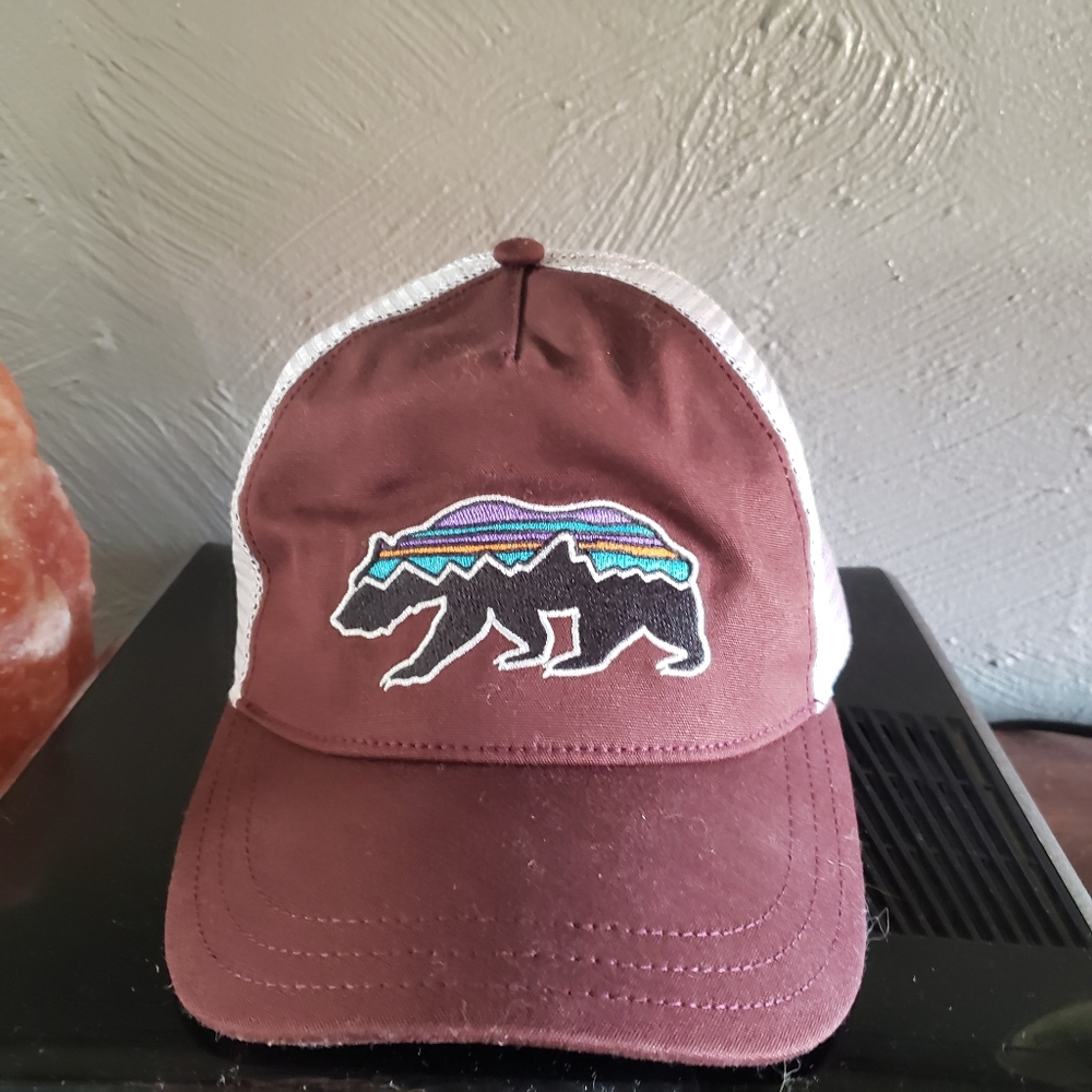 NWOT Women's patagonia hat fitz roy bear layback